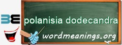 WordMeaning blackboard for polanisia dodecandra